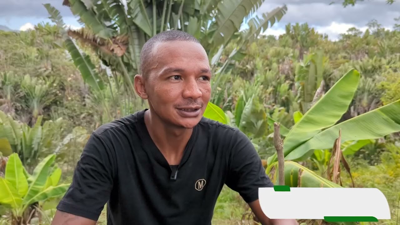 Culture en courbe de niveau 1