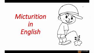 Micturition in English / Micturition reflex / Process of Micturition