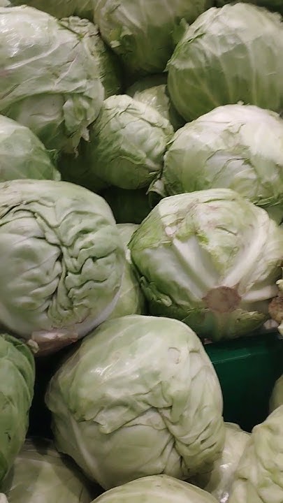 Капуста молодая.Цена.Магазин Велмарт#капуста#цена#велмарт - YouTube