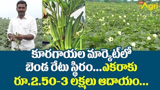 Benda Farming | Ladies Finger Planting | బెండ రేటు స్థిరం ఎకరాకు రూ.2.50-3 లక్షలు ఆదాయం..! Tone Agri