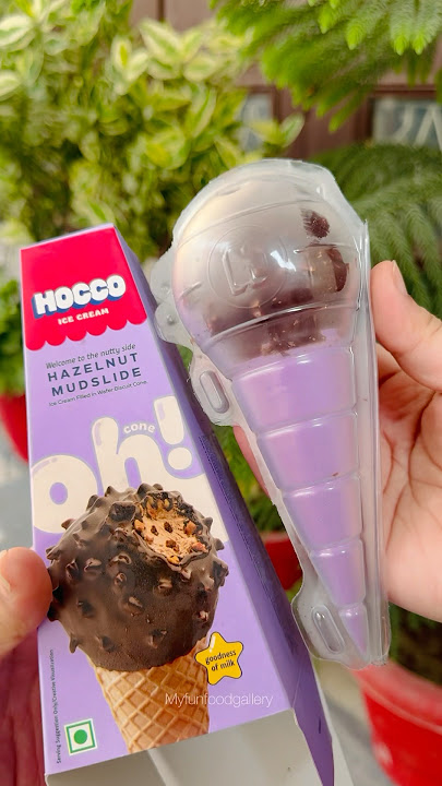 Ye ice cream try ki hai? #hocco #myfunfoodgallery #shorts