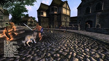 Dynamic Leveled Lists.f4v