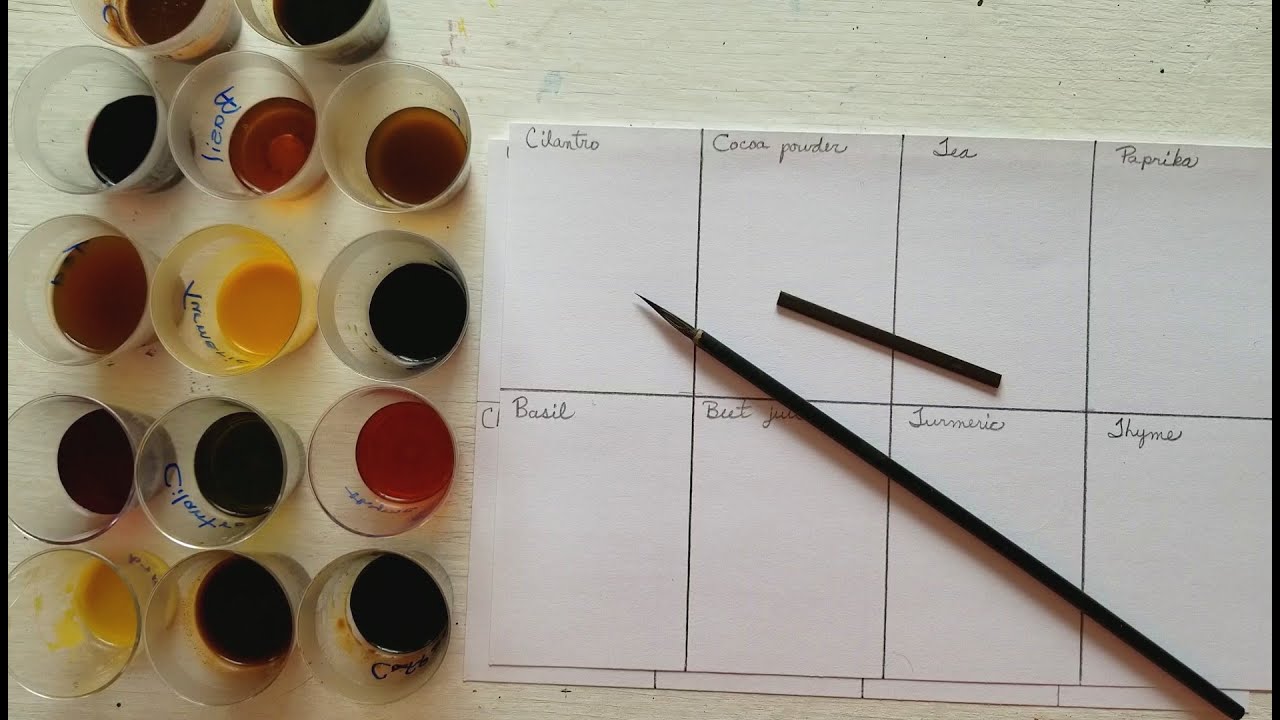 Painting experiment with herbs and spices!