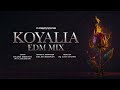 Koyalia  edm mix  remix  daler mehndi  ns chauhan  dj leo sound  drecords