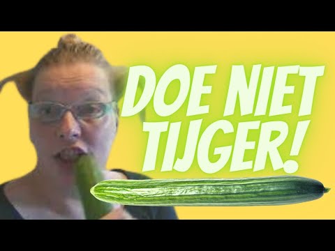 Doe niet tijger als je poessie bent!  Song