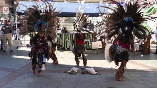Dancing Tribes featuring Benjamin Zephaniah