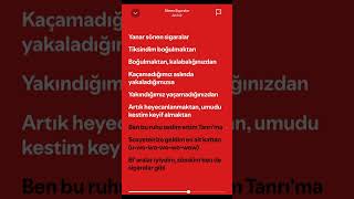 Sosyetenize Geldim En Alt Kattan Ati242 - Sönen Sigaralar Resimi