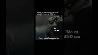 When you promised your mom you’d be home by 10pm Mom:Me at 3:50am   #kungfupanda #pov #relatable