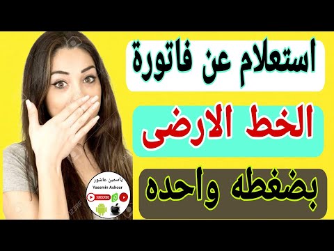 طريقه الاستعلام عن فاتوره التليفون الارضي من شركه المصريه للاتصالات من خلال الهاتف
