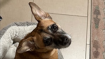 Negotiator 7* w/ Marauder vs Leviathan w/ Sith Fighter SWGOH