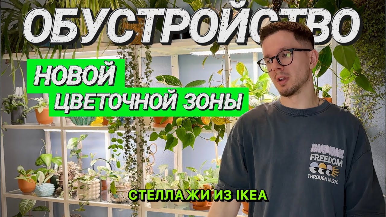 ОБУСТРОЙСТВО НОВОЙ ЦВЕТОЧНОЙ ЗОНЫ | СТЕЛЛАЖИ ИЗ IKEA | БОЛЕЕ 150 растений на полках |