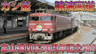 [富山機関区HM付き] 配6550レ EF81-726号機「富」+EF510-510号機「田」琵琶湖線 京都駅