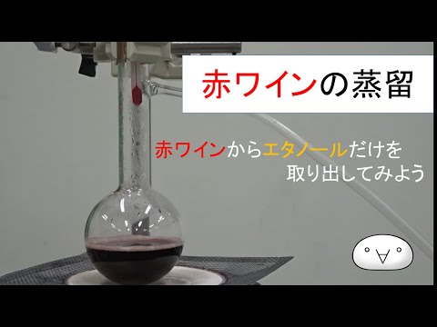 [実験] 赤ワインの蒸留  (ゆっくり実験解説)