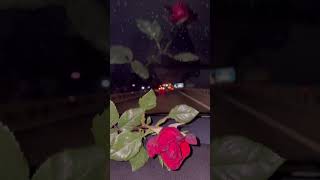 Roj Çu Ava Dısa… Resimi