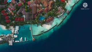 Explore Palm Island |Beauty of World | 60 seconds of peace