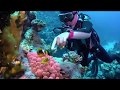 4K Scuba Diving in Sharm El Sheikh - Summer 2019 (Part 1)