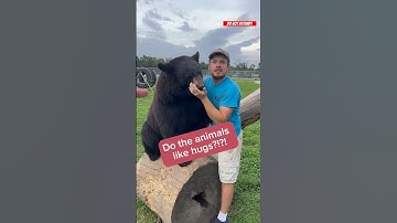 Which of the animals like hugs? #animalsofyoutube #animals #awesomeanimals