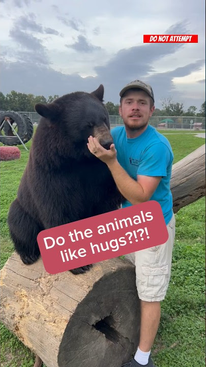 Which of the animals like hugs? #animalsofyoutube #animals #awesomeanimals