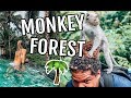 We're in Paradise!! Monkey Forest | B A L I