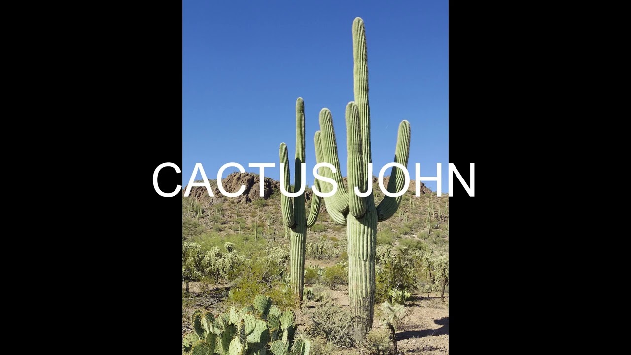 Cactus John