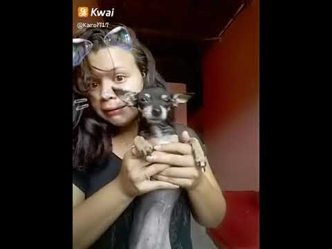 Kwai Videos Kwai Videos