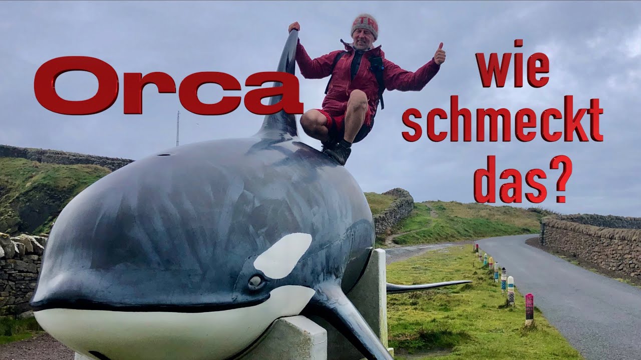 Kann man Orca essen? Und wie schmeckt das? @XTripSailing Shorty Q&A