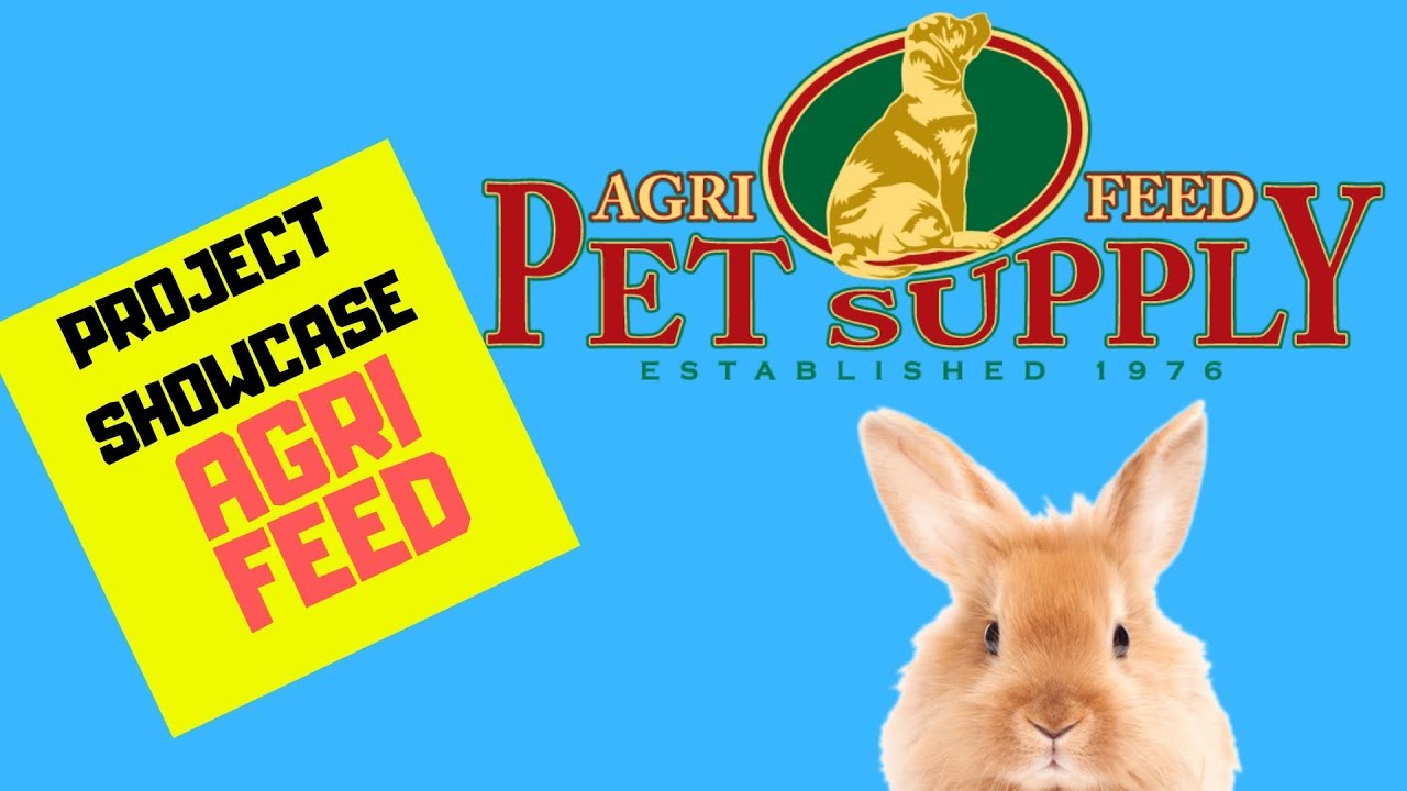AgriFeed Pet Supply Water Feature Transformation YouTube
