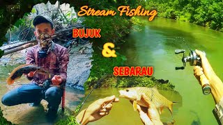 BUJUK & SEBARAU JERAM || Stream Fishing