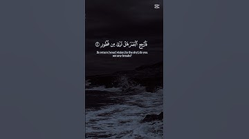 سورة الملك 🫀🌑 #القرآن_الكريم #quran #اكسبلور #qurantilawat #المصحف #سورةالملك
