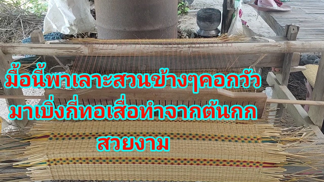 #Ep248 พาเลาะสวนชมธรรมชาติ วิถีบ้านๆ อีสานบ้านเฮาบ้านอยู่แบบพอเพียง