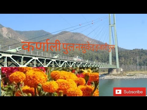Karanali pul nasukai hajari phul By Bishnu majhi  binod bajureli  New Tihar songs 2079   Full HD