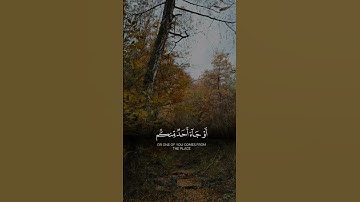 كلام الله الذي يروي القلوب 🌿#القرآن #تلاوة_خاشعة#طمأنينة #كلام_الله #القرآن_ضياء#تدبر #إيمان