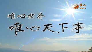 奉安妙智聖王禪老祖大金身法會【唯心天下事2539】｜ WXTV唯心電視台