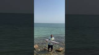 صيد العزيزية كنعد carpfishing explore fish fishing beach sea swimming