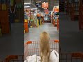 These Pets are total Goobers 🤦 | The FUNNIEST Pet Videos Of The Week