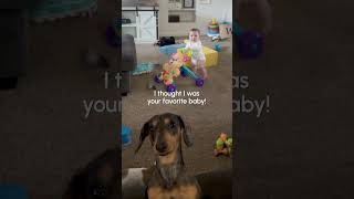 These Pets are total Goobers 🤦 | The FUNNIEST Pet Videos Of The Week