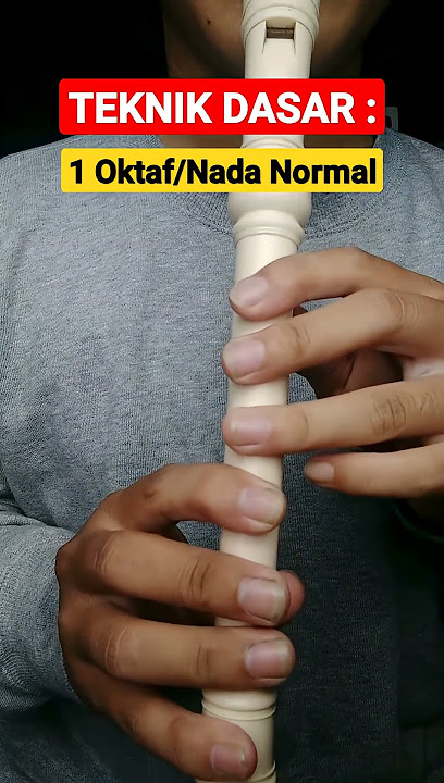 Basic 1 Octave Recorder Techniques #shorts