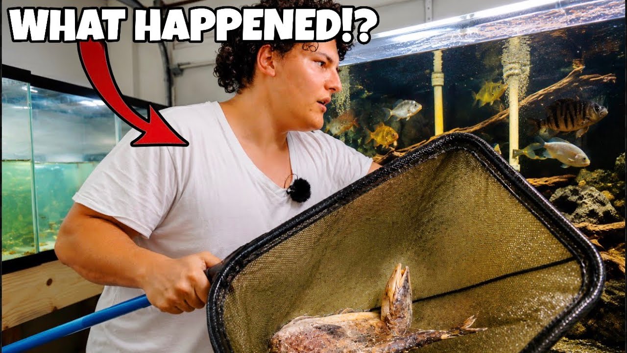 I Left for ONE Day... and Everything Went Wrong!