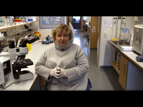 Video: Forskare Har Framgångsrikt Testat Ett Anti-aging-läkemedel På Möss - Alternativ Vy