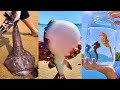 Catching Seafood 🦀🐙 Deep Sea Octopus (Catch Crab, Catch Fish)  #125