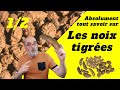 Noix tigres partie 1  vous allez en apprendre 