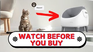 Honest Review Of Open-Top Self Cleaning Litter Box