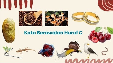 Belajar bicara bayi & balita | Kata berawalan huruf C | edukasi anak-anak |