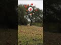 Lance de cierva con GoPro 💥 #caza #ciervo #deer