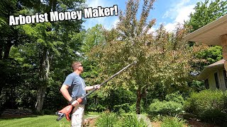 Milwaukee M18 Brushless Telescoping Pole Pruning Shears Review 3008-21