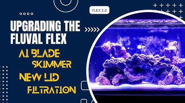 Upgrading The Fluval FLEX - AI Blade/P Skimmer/Filtration/Lid - 2023 - 4K #Fluvalflex32.5g