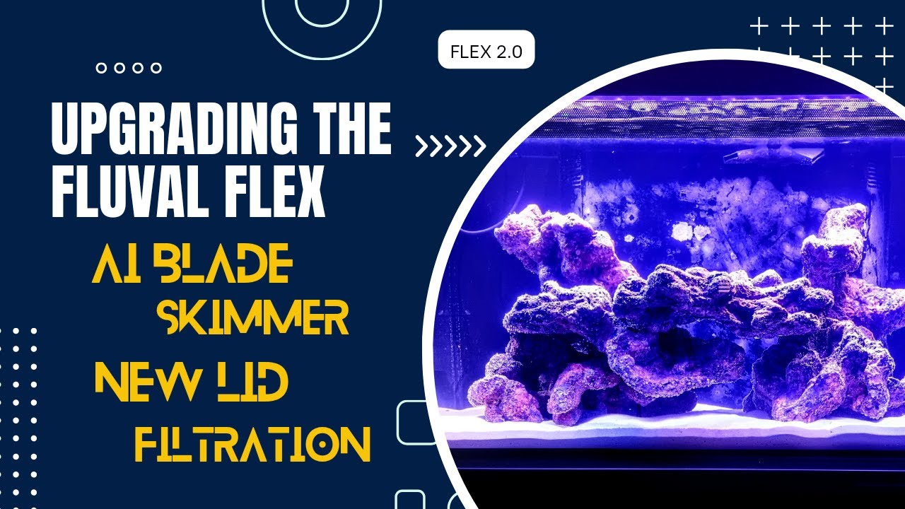 Upgrading The Fluval FLEX - AI Blade/P Skimmer/Filtration/Lid