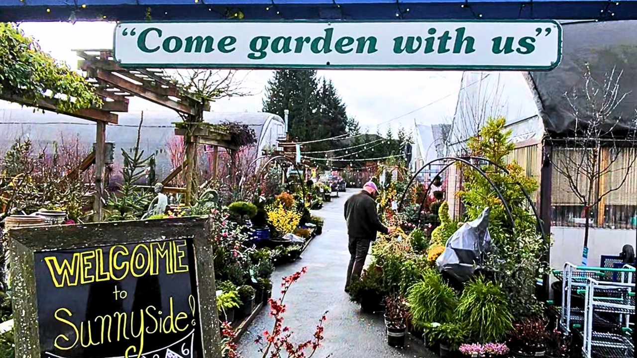 Sunnyside Nursery — Calm late winter plant walk (24 min) [In-Store Music] | Ambient • No Commentary