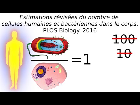 Vidéo: Traduire Le Microbiome Vaginal: Lacunes Et Défis