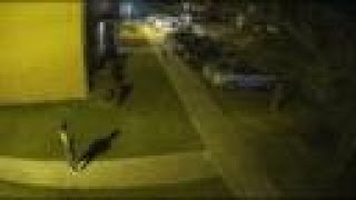 291798732_506149631271798_7655781479580000537_n.mp4